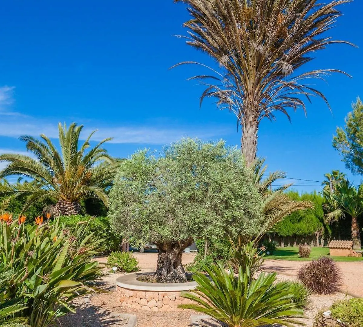 Villa Refugio Spacious Finca Pool Bbq Office 루크마호르 펜션
